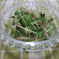 さったんママ's cooksnap of when they made 簡単☆早い　かいわれのおかか和え.