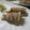 せいままま's cooksnap of when they made 豚大根シソ☆巻き巻き.