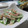 えみんちゅ＊'s cooksnap of when they made 絹さやとハムの和え物~胡麻マヨ~.