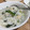 しみず's cooksnap of when they made 温まる鶏肉とねぎの中華しょうがおかゆ.