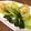 pali's cooksnap of when they made 青梗菜のステーキ.