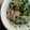 たかラッタ's cooksnap of when they made ニラとモヤシと豚肉のコチジャン炒め.