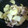 てこくち's cooksnap of when they made 簡単☆かぶと豚バラの麺つゆ炒め.