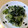 おきーちゃん's cooksnap of when they made きゅうりとじゃこのポン酢和え.