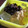 ＭＯＭＯパンダ's cooksnap of when they made 簡単☆寒天de和風デザート☆ダイエット.