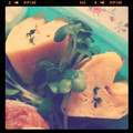 Chihojp's cooksnap of when they made 簡単！ほっておくだけハート卵焼き.