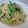 おんかめ's cooksnap of when they made キャベツベーコンのクレソル煮.