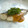 でかおちば's cooksnap of when they made さごしのムニエル*味噌バターソース.