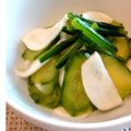 白玉季菜粉's cooksnap of when they made 我が家流☆蕪とキュウリの浅漬け.