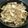 鈴ピヨ's cooksnap of when they made 豚玉ねぎのカレー炒め丼.