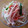 えいなつママ's cooksnap of when they made きゅうりともやしの胡麻マヨ和え！.