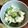 ma-tan's cooksnap of when they made 即席キャベツの浅漬け風.