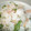 ソネチコ's cooksnap of when they made すし酢で簡単♪寿司風鮭混ぜごはん♪.