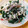 かわゆう1211's cooksnap of when they made しらたきで☆中華風サラダ♪.