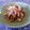 PGTips's cooksnap of when they made ゴボウと牛肉の炒め煮.