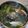 みーたん船長's cooksnap of when they made 釣り師の作る簡単ヒュメドポアソン.