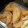 はあとん's cooksnap of when they made 手羽先の唐揚～甘辛だれ～でがっつり!!.