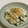 border514's cooksnap of when they made かぶとゆずの酢の物！.