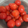 ぴろぱる☆'s cooksnap of when they made 母直伝・・・トマトの湯むき.
