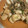 クックTRUBP4☆'s cooksnap of when they made 学校給食　いかのねぎ塩焼き.