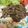 geranium♪'s cooksnap of when they made 中学生でも作れる！牛肉のポン酢炒め.