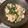 こうせい(=ﾟωﾟ)ﾉ's cooksnap of when they made 塩酒粕漬けほろ酔い豆腐で♪ニラの白和え.