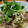 ☆うさたろさん☆'s cooksnap of when they made 一番簡単★しょうが焼き.