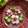 フジぽん's cooksnap of when they made オクラの輪切り置いただけ.