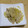 ラリー＆サラ's cooksnap of when they made 生姜焼き用豚ロースと玉ねぎの味噌炒め.