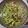 K Asai 1130's cooksnap of when they made よしな（かたは）と豚の炒め煮.