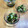 ルぴあ's cooksnap of when they made たことワカメとめかぶの酢の物.