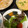 karikarin's cooksnap of when they made 白だしdeかぼちゃの煮物.