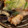 105♡'s cooksnap of when they made 簡単で上品♡茄子と鶏モモ肉のネギ塩餡掛け.