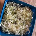 みるく茶's cooksnap of when they made 塩こんぶキャベツダイエット常備菜作り置き.