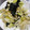 真観子さん's cooksnap of when they made レタスと豆腐の焼き海苔たっぷりサラダ.
