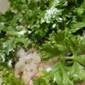 MULA's cooksnap of when they made パセリだけのごはん.