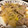 ユウキ's cooksnap of when they made 豚肉と大根さっぱり炒め♪簡単レシピ.