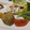 mielle's cooksnap of when they made 簡単！椎茸と海老の二身(ふたみ）揚げ.
