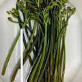 猫のミイヤ's cooksnap of when they made 重曹を使ってわらびのあく抜き.