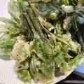 ★★まこ★★'s cooksnap of when they made 山菜の天ぷら☆こしあぶら＆こごみ.