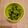 アルカママ's cooksnap of when they made 簡単♪ きくらげときゅうりの胡麻酢和え.