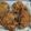 Rikosan's cooksnap of when they made 簡単絶品！KFC風フライドチキン.