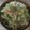 のんぴ☆♪'s cooksnap of when they made 子供もおかわり！白菜のカルボナーラサラダ.