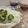 horseland's cooksnap of when they made そうめん、冷や麦にキュウリのお花.