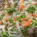 りんりんのん's cooksnap of when they made 簡単副菜⭐大根と豆苗の中華サラダ.