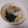 きらり流れ星's cooksnap of when they made 冷やし肉おろしうどん.