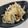 papikun's cooksnap of when they made 大根と塩昆布のさっぱりサラダ.