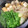 あおやがら's cooksnap of when they made 白菜と厚揚げのコストコプルコギすき焼き風.