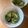クックあさみちゃん's cooksnap of when they made だしの素でキュウリの酢の物.