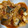 ももゆみ1230's cooksnap of when they made 鯖缶でとっても簡単！鯖のトマト煮込み.